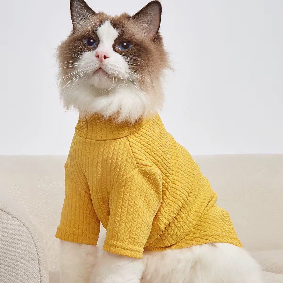 Maison Luxe Knit Shirt