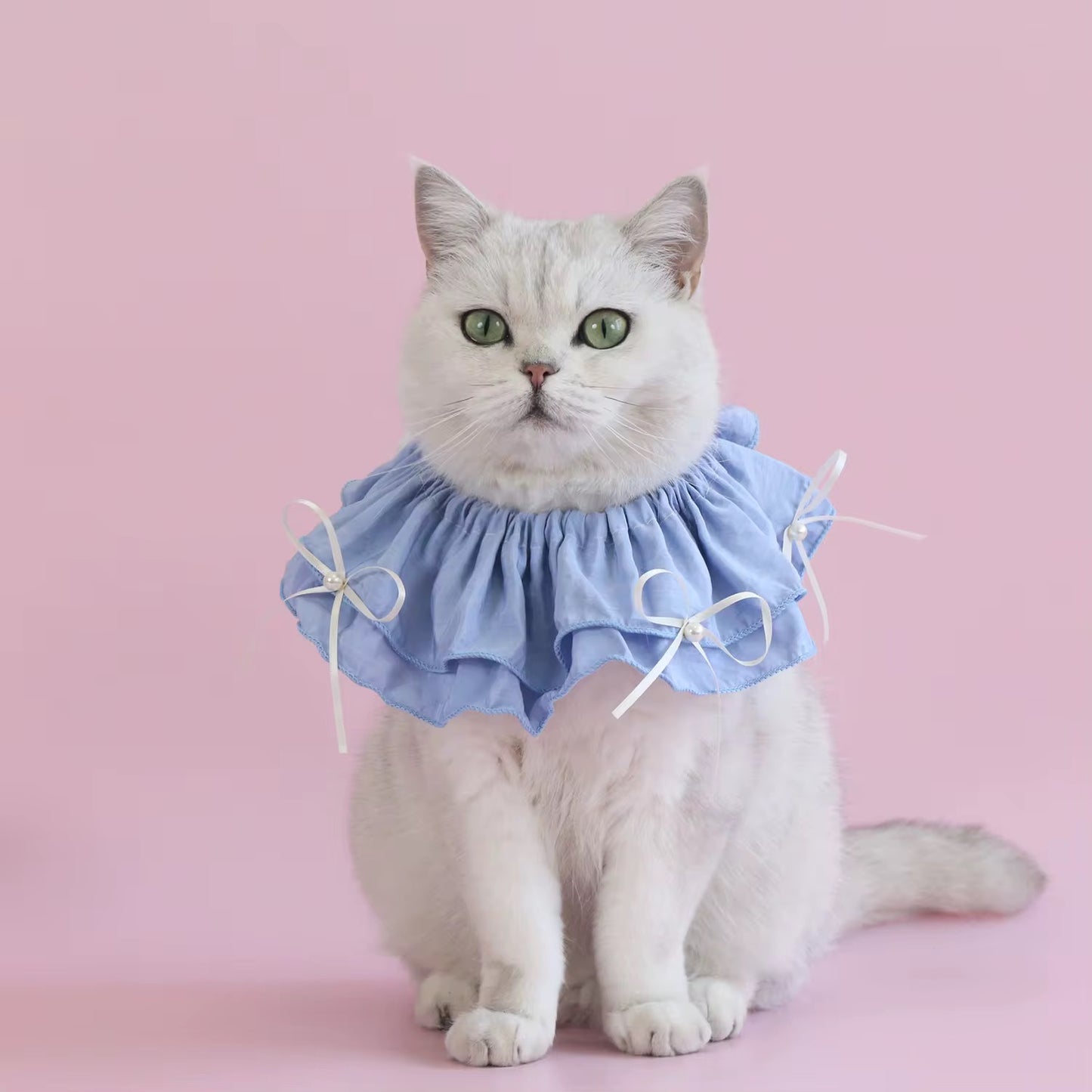 Cat Scarf