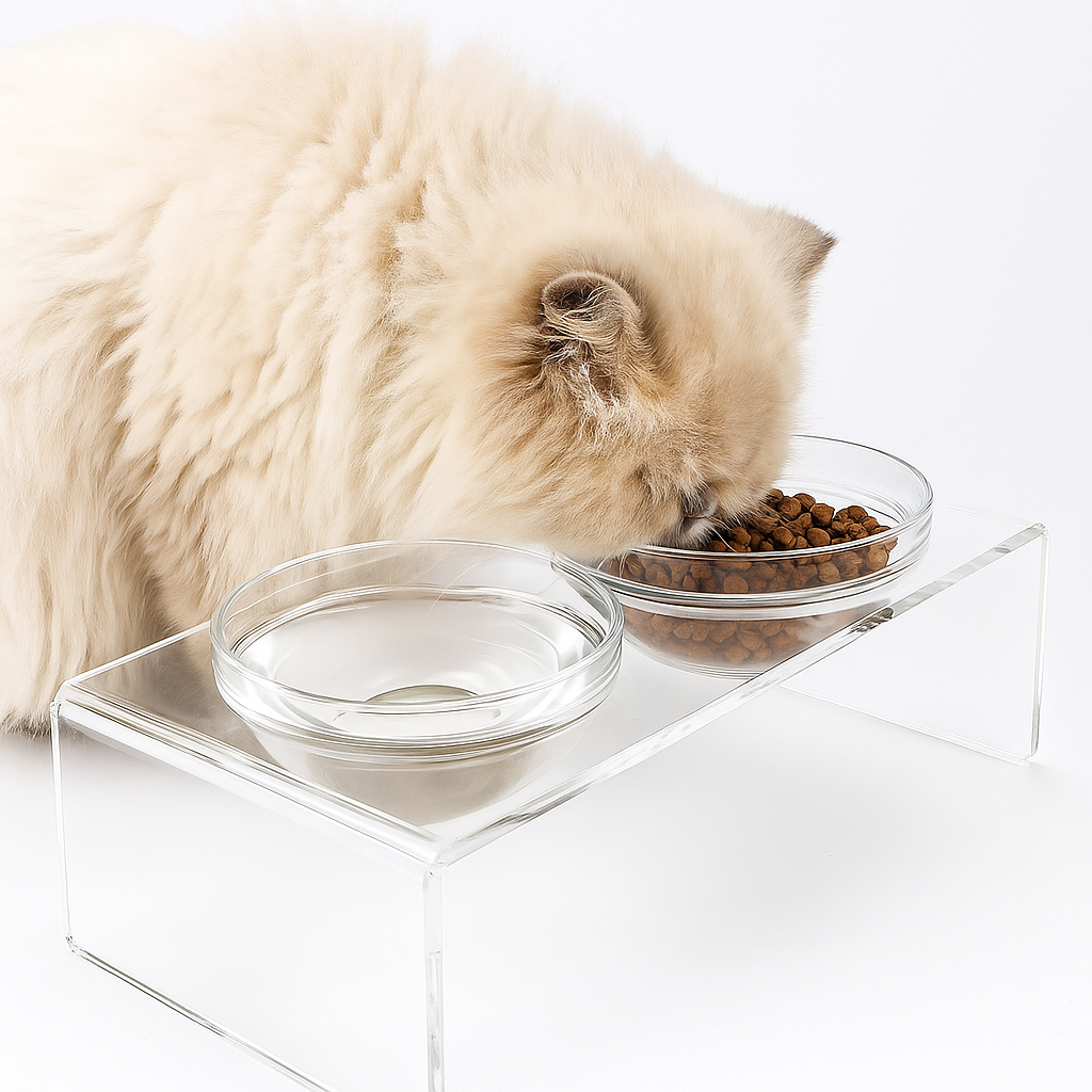 Acrylic Cat Feeding Station