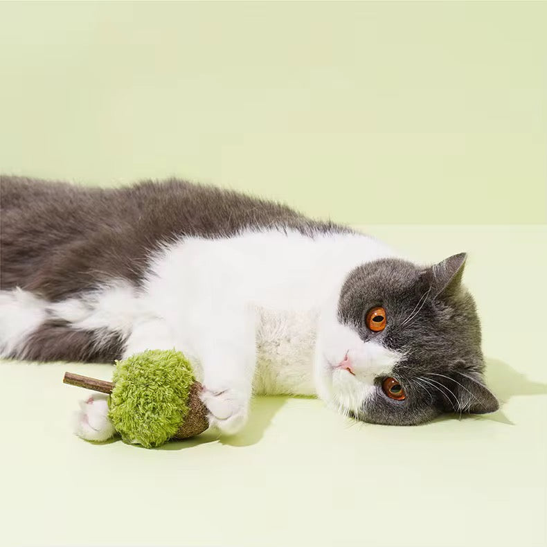 Catnip Infused Chew Toy
