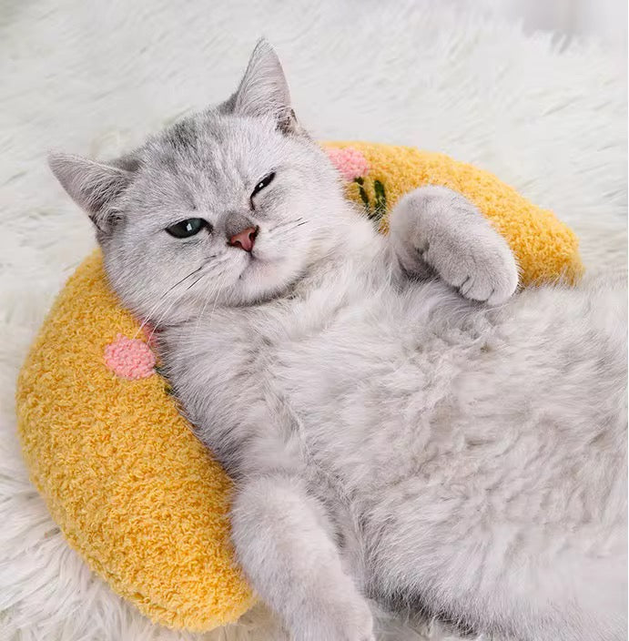 Lounging