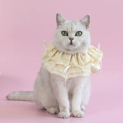 Cat Scarf