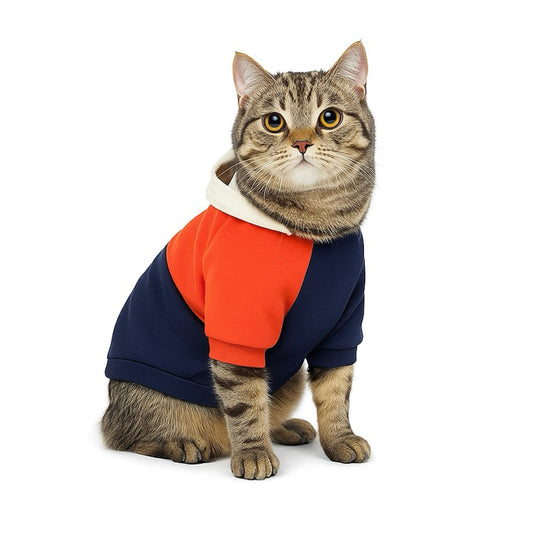 Colorblock Hoodie