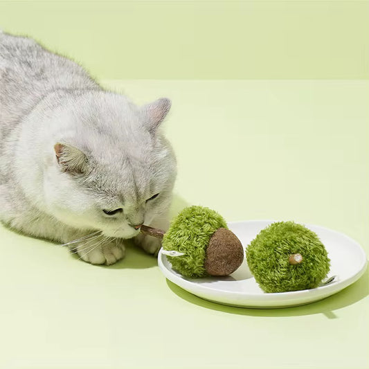Catnip Infused Chew Toy