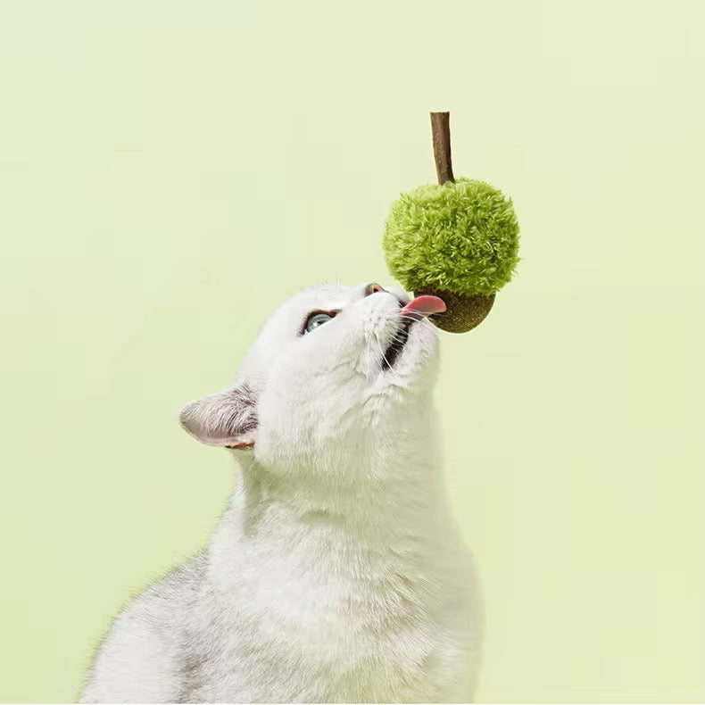 Catnip Infused Chew Toy