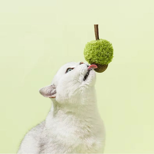 Catnip Infused Chew Toy