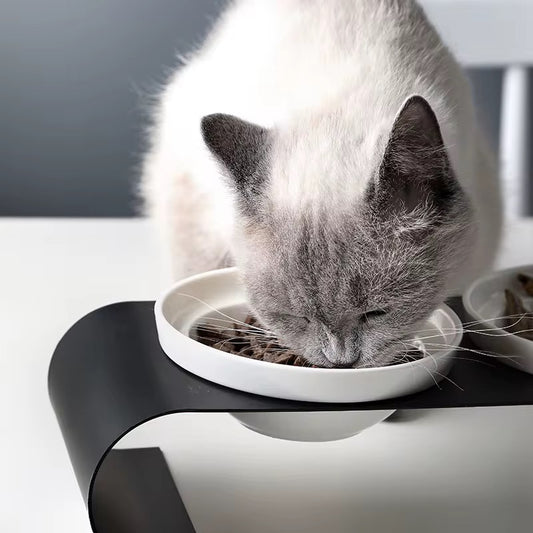 Ergonomic Cat Feeding Station