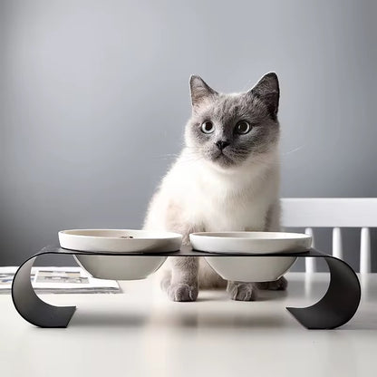Ergonomic Cat Feeding Station